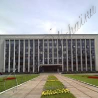Чернігівська облрада запровадила мораторій на вирубку лісів